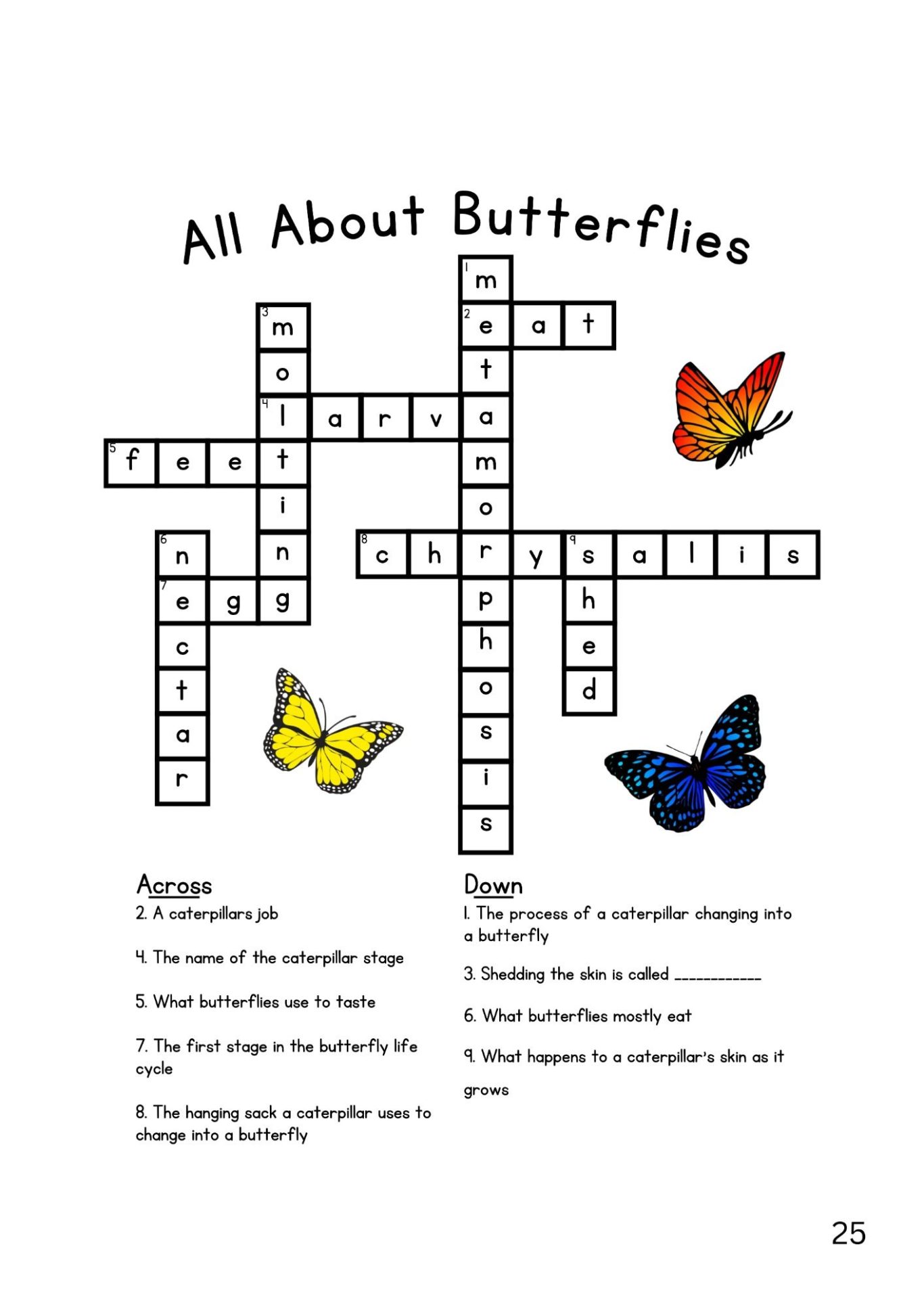 Hive Mind Answers